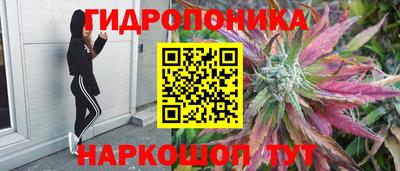 mdpv Гусев