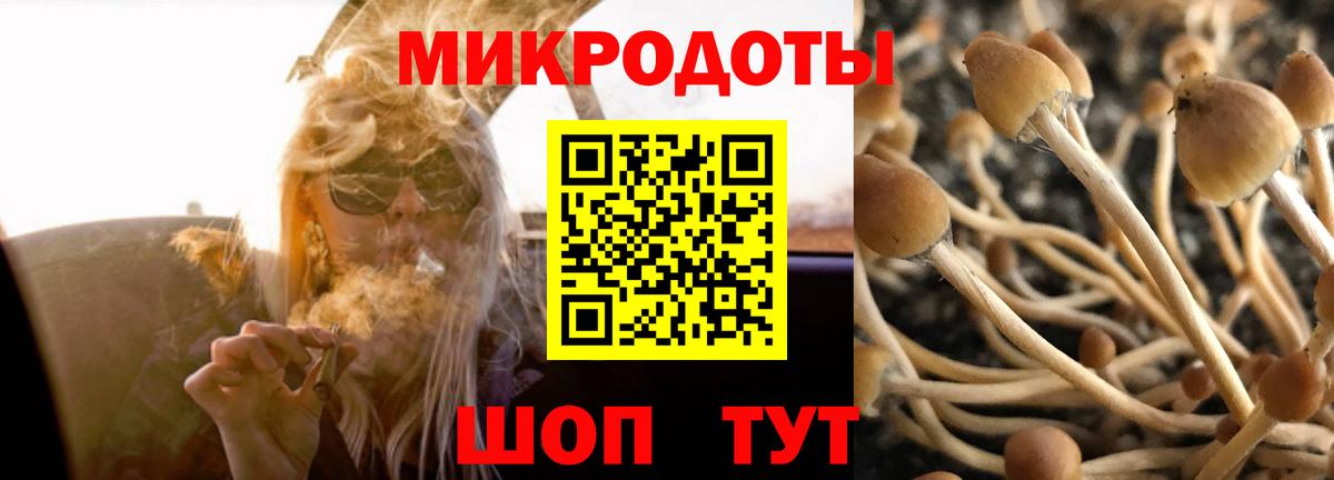 Псилоцибиновые грибы Magic Shrooms  Вход с VPN  Москва 